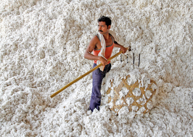 India suspends 11pc cotton import duty amid US tariffs